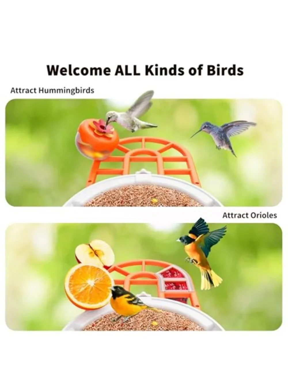 New Bird Feeder with Camera with AI Identify Birds Species Solar Powered